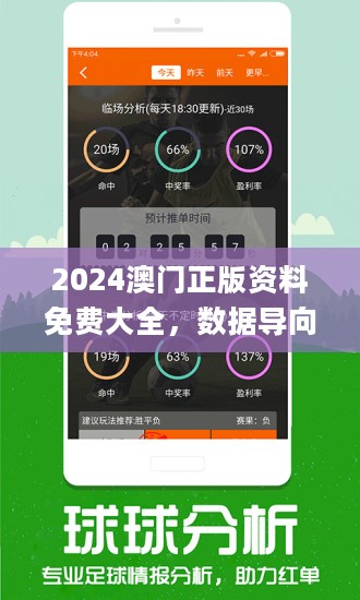 新澳2024大全正版免费资料,新澳2024大全正版免费资料，探索与揭秘