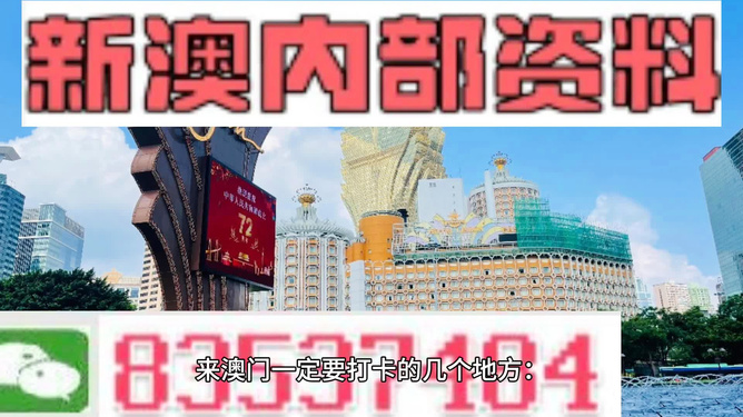 2024年新澳门王中王免费,警惕虚假宣传，关于2024年新澳门王中王免费的真相揭示