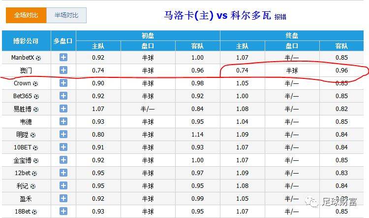 一肖一码100%澳门,一肖一码，澳门彩票的奥秘与探索