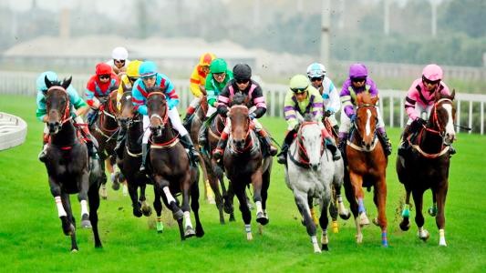 香港今晚开什么特马,香港今晚开什么特马，探索马术运动与香港文化的独特交融