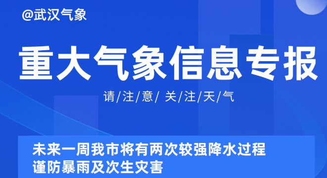 2024新奥资料免费精准061,探索未来，2024新奥资料免费精准获取之道（关键词，新奥资料、免费精准、获取策略）